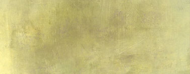 环仲支持的2025上海仲裁周国际商事仲裁中的公共利益问题分论坛在上海大学成功召开